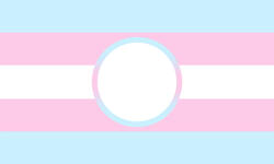 Transtrender*